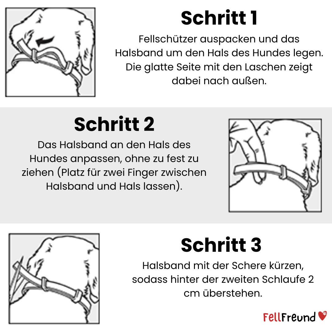 Fellfreund™ - 8 Monate Schutz gegen Zecken, Flöhe & co.